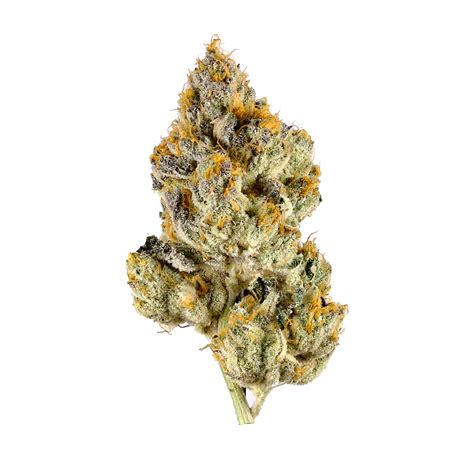 Orangutan Titties Marijuana Strain Information & Reviews